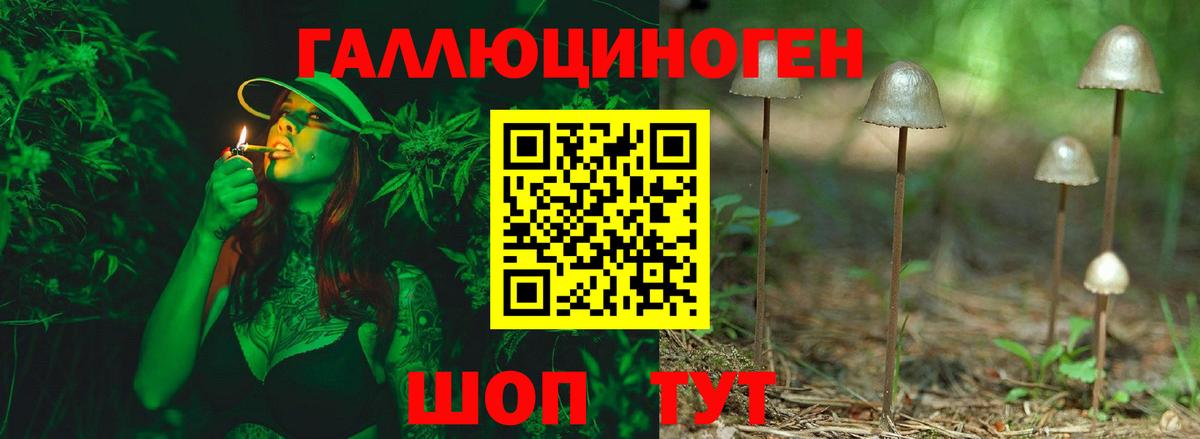 Качканар  Псилоцибиновые грибы Psilocybine cubensis  что такое наркотик  Вход с VPN 